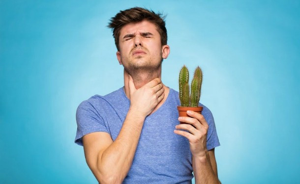 Тонзиллит, фарингит или ларингит: как разобраться?